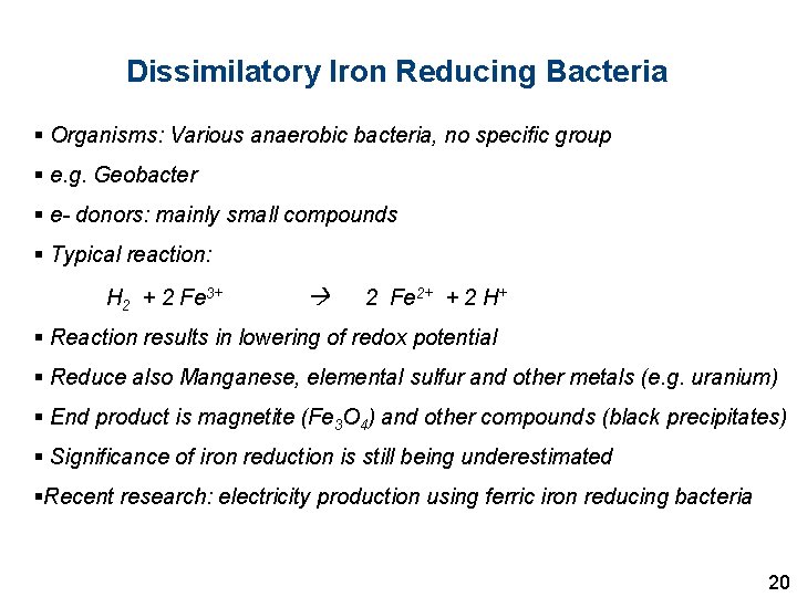 Dissimilatory Iron Reducing Bacteria § Organisms: Various anaerobic bacteria, no specific group § e.