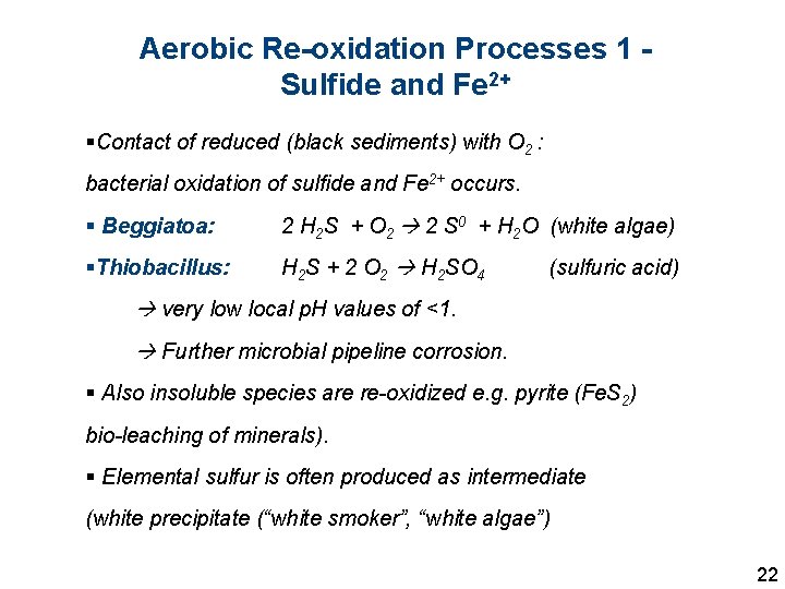 Aerobic Re-oxidation Processes 1 - Sulfide and Fe 2+ §Contact of reduced (black sediments)