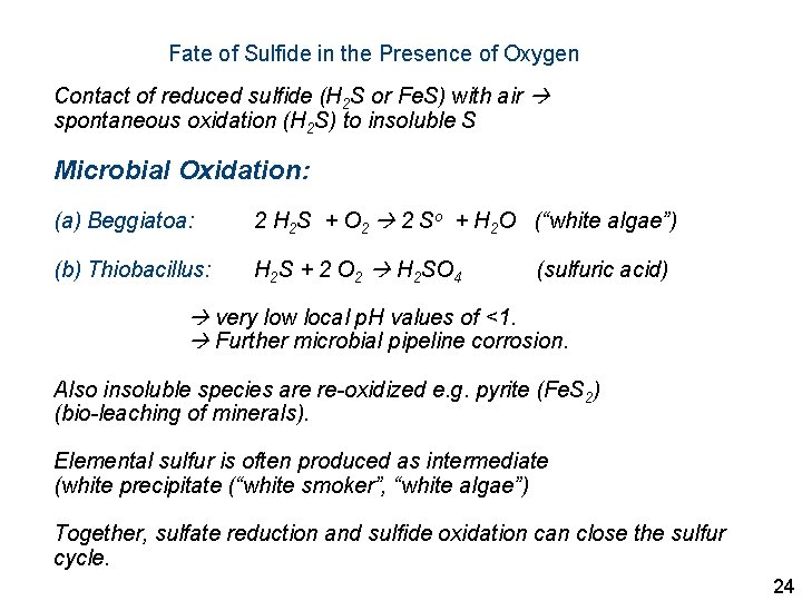 Fate of Sulfide in the Presence of Oxygen Contact of reduced sulfide (H 2