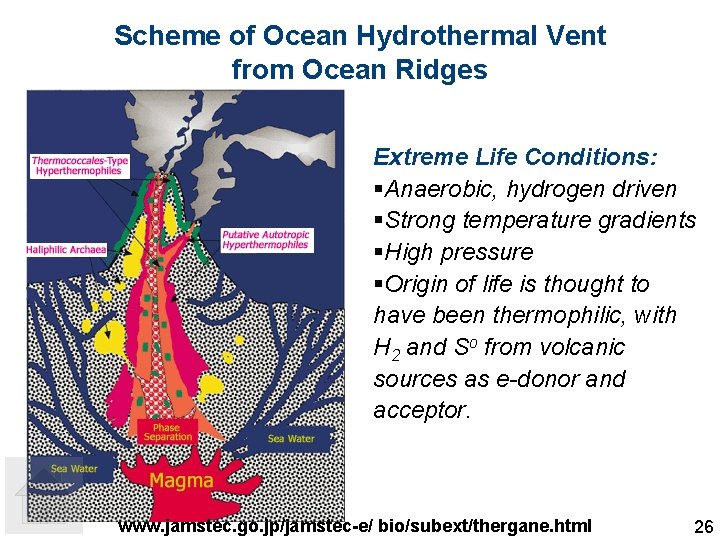 Scheme of Ocean Hydrothermal Vent from Ocean Ridges Extreme Life Conditions: §Anaerobic, hydrogen driven