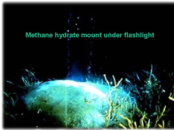 Methane hydrate mount under flashlight 40 