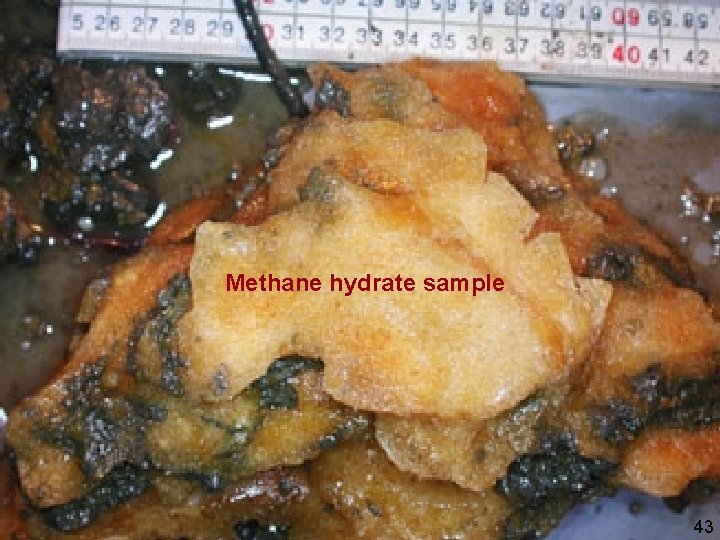 Methane hydrate sample 43 