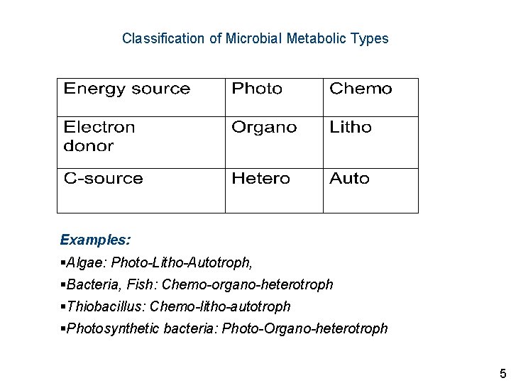 Classification of Microbial Metabolic Types Examples: §Algae: Photo-Litho-Autotroph, §Bacteria, Fish: Chemo-organo-heterotroph §Thiobacillus: Chemo-litho-autotroph §Photosynthetic