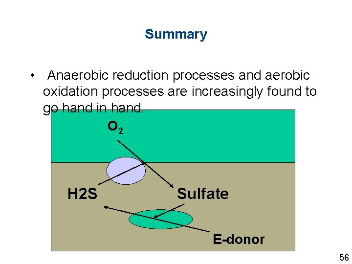 Summary • Anaerobic reduction processes and aerobic oxidation processes are increasingly found to go