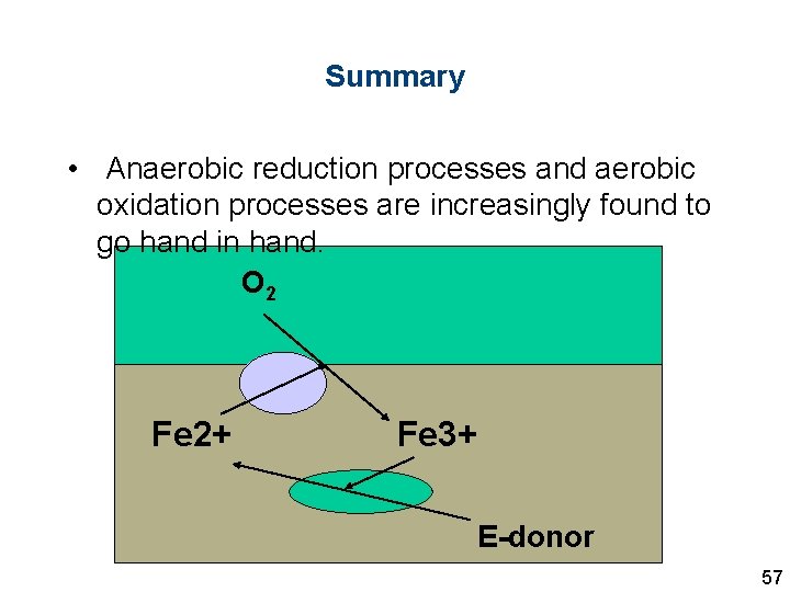 Summary • Anaerobic reduction processes and aerobic oxidation processes are increasingly found to go