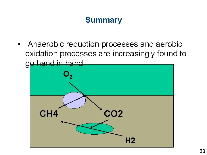 Summary • Anaerobic reduction processes and aerobic oxidation processes are increasingly found to go