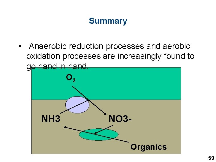 Summary • Anaerobic reduction processes and aerobic oxidation processes are increasingly found to go