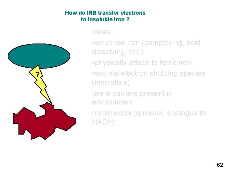 How do IRB transfer electrons to insoluble iron ? ? Ideas: • solubilise iron