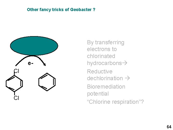 Other fancy tricks of Geobacter ? e. Cl Cl By transferring electrons to chlorinated