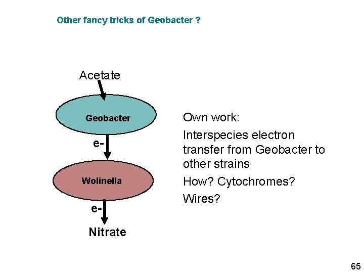 Other fancy tricks of Geobacter ? Acetate Geobacter e. Wolinella e- Own work: Interspecies