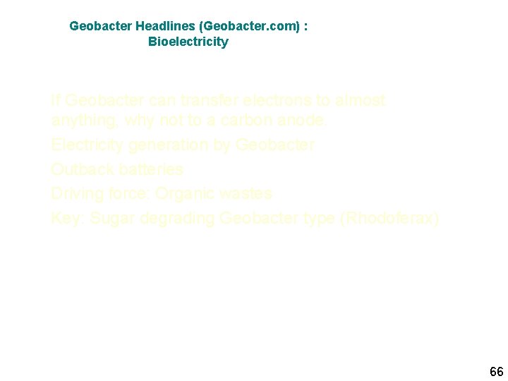 Geobacter Headlines (Geobacter. com) : Bioelectricity If Geobacter can transfer electrons to almost anything,