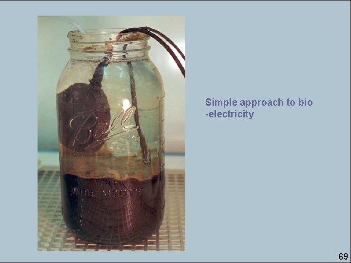 Simple approach to bio -electricity 69 