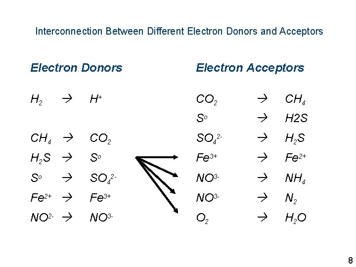 Interconnection Between Different Electron Donors and Acceptors Electron Donors H 2 H+ Electron Acceptors