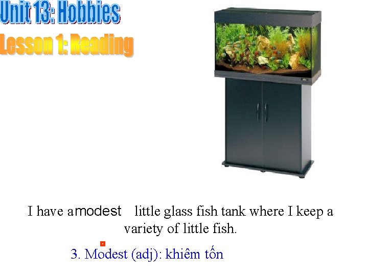 I have a modest little glass fish tank where I keep a variety of