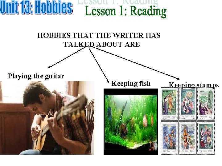 HOBBIES THAT THE WRITER HAS TALKED ABOUT ARE Playing the guitar Keeping fish Keeping