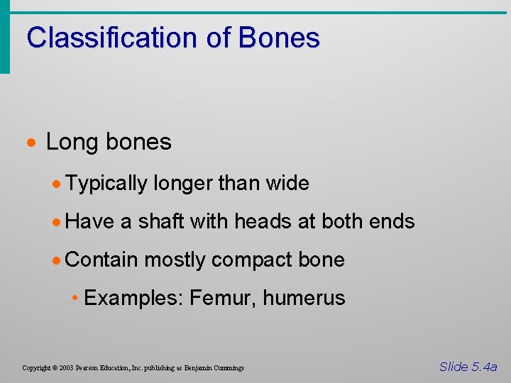 Classification of Bones · Long bones · Typically longer than wide · Have a