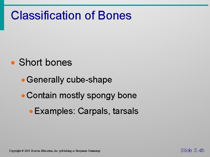 Classification of Bones · Short bones · Generally cube-shape · Contain mostly spongy bone