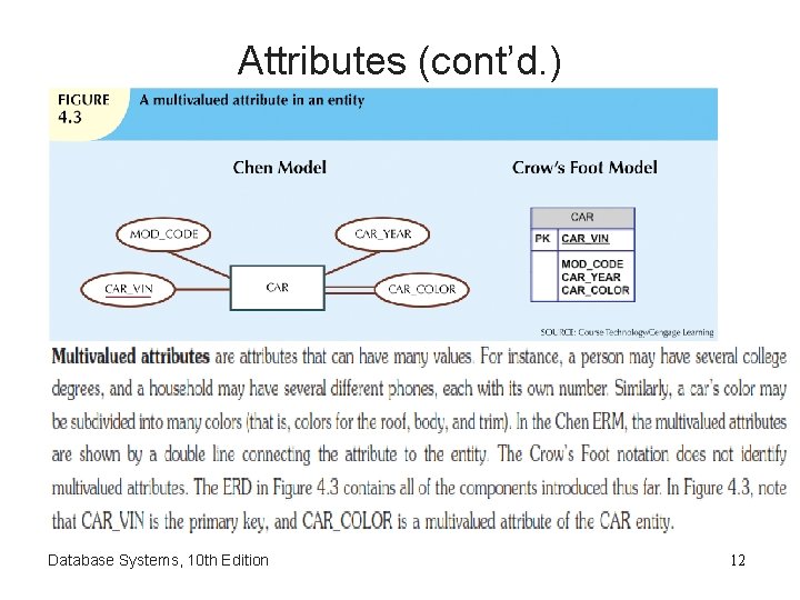 Attributes (cont’d. ) Database Systems, 10 th Edition 12 