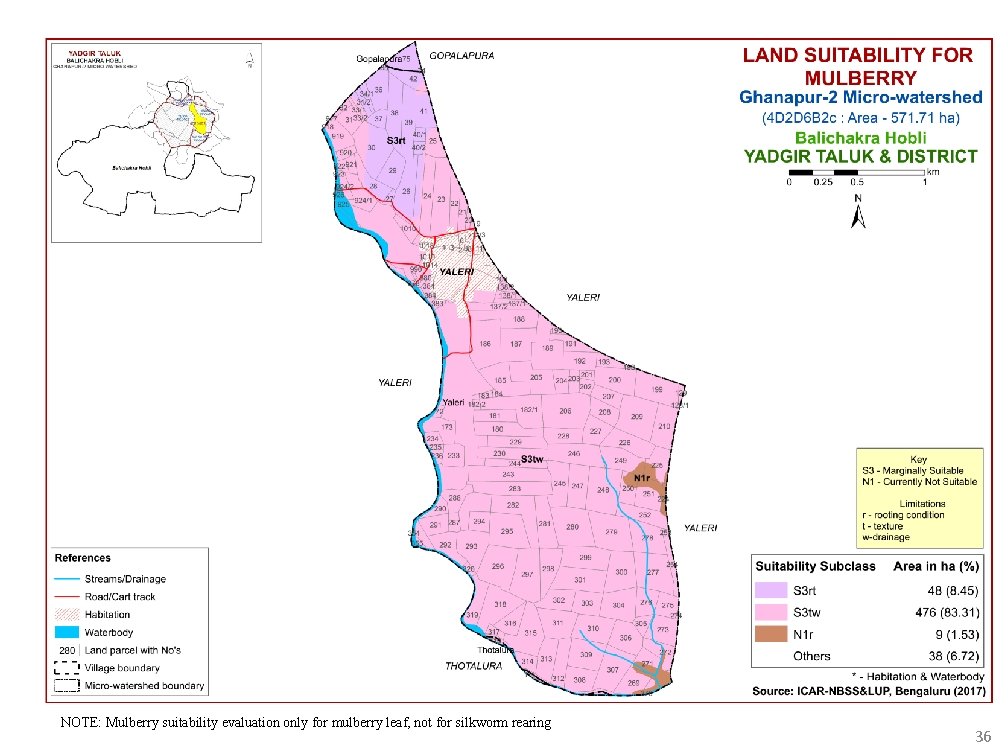 NOTE: Mulberry suitability evaluation only for mulberry leaf, not for silkworm rearing 36 