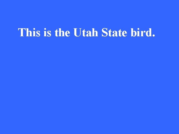 This is the Utah State bird. 