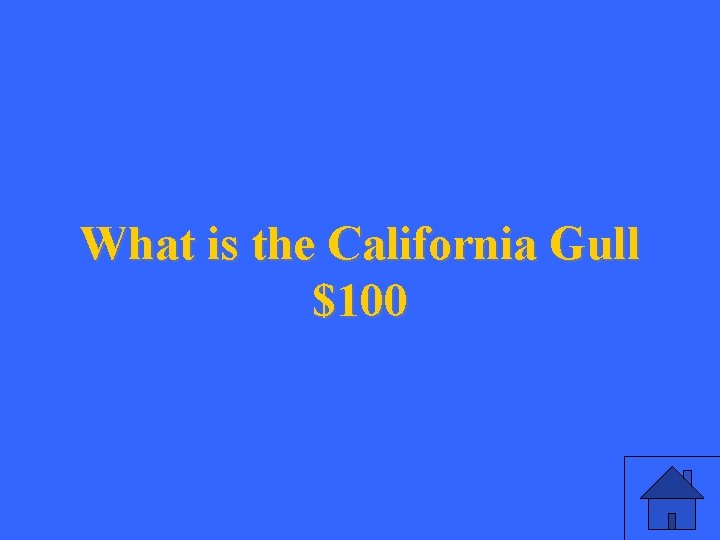 What is the California Gull $100 