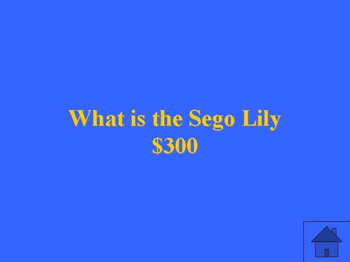 What is the Sego Lily $300 