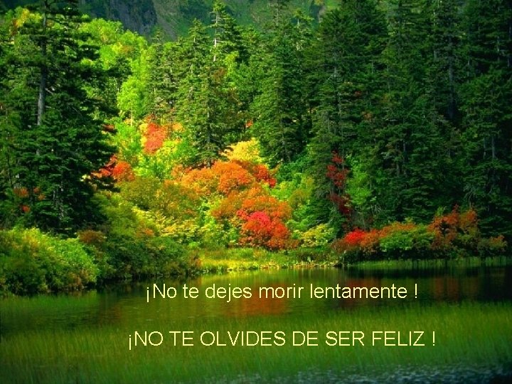 ¡No te dejes morir lentamente ! ¡NO TE OLVIDES DE SER FELIZ ! 