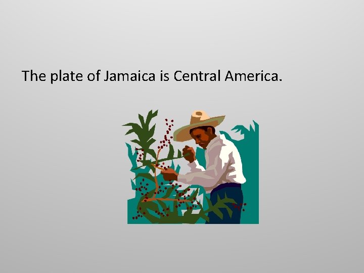 The plate of Jamaica is Central America. 