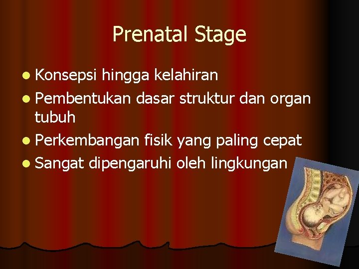 Prenatal Stage l Konsepsi hingga kelahiran l Pembentukan dasar struktur dan organ tubuh l