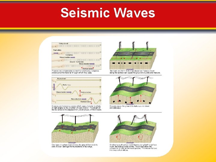 Seismic Waves 