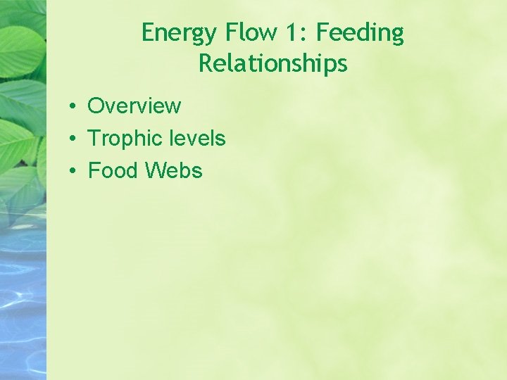 Energy Flow 1: Feeding Relationships • Overview • Trophic levels • Food Webs Energy Flow 1: Feeding Relationships • Overview • Trophic levels • Food Webs
