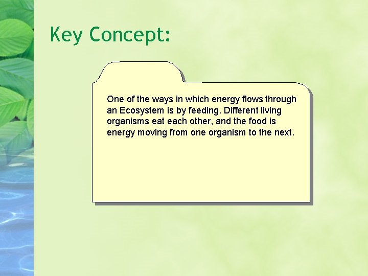 Key Concept: One of the ways in which energy flows through an Ecosystem is Key Concept: One of the ways in which energy flows through an Ecosystem is