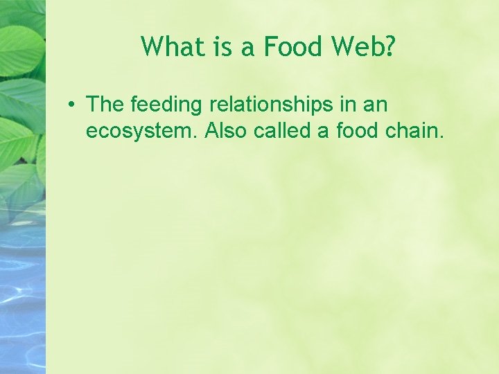 What is a Food Web? • The feeding relationships in an ecosystem. Also called What is a Food Web? • The feeding relationships in an ecosystem. Also called