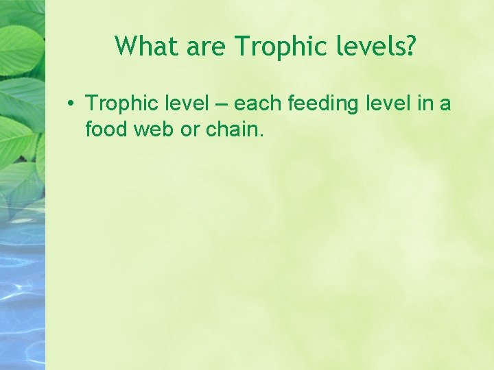 What are Trophic levels? • Trophic level – each feeding level in a food What are Trophic levels? • Trophic level – each feeding level in a food