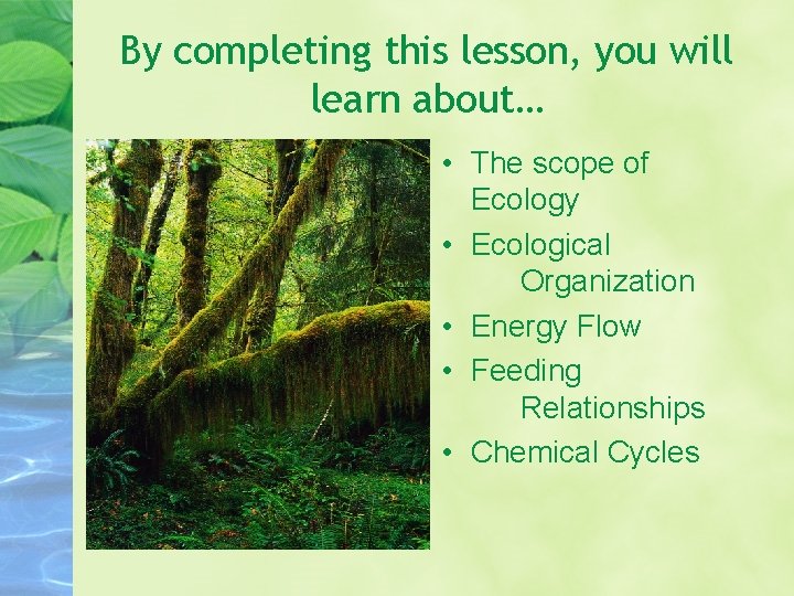 By completing this lesson, you will learn about… • The scope of Ecology • By completing this lesson, you will learn about… • The scope of Ecology •