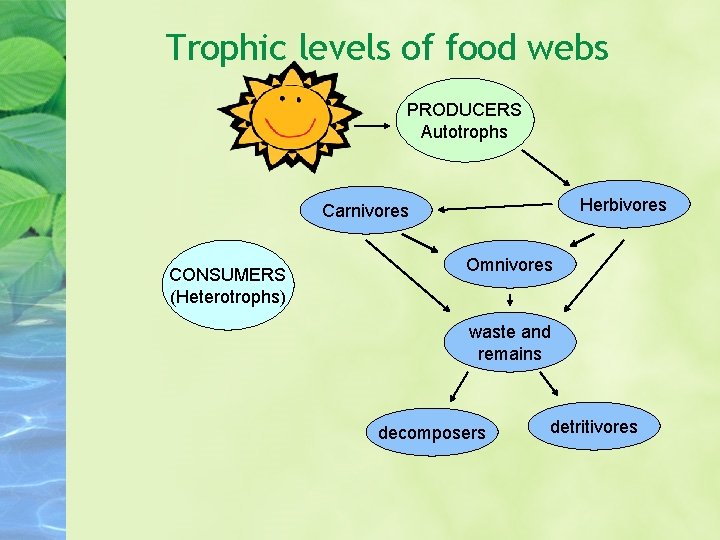 Trophic levels of food webs PRODUCERS Autotrophs Herbivores Carnivores CONSUMERS (Heterotrophs) Omnivores waste and Trophic levels of food webs PRODUCERS Autotrophs Herbivores Carnivores CONSUMERS (Heterotrophs) Omnivores waste and