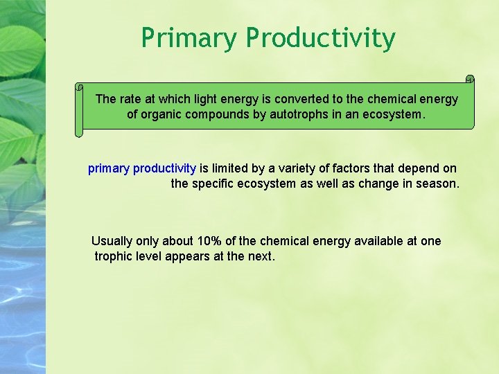 Primary Productivity The rate at which light energy is converted to the chemical energy Primary Productivity The rate at which light energy is converted to the chemical energy