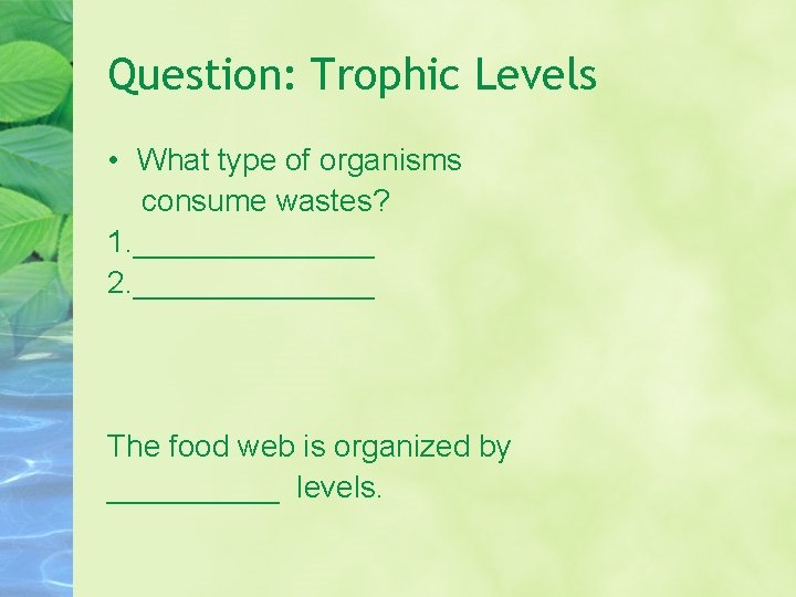 Question: Trophic Levels • What type of organisms consume wastes? 1. _______ 2. _______ Question: Trophic Levels • What type of organisms consume wastes? 1. _______ 2. _______