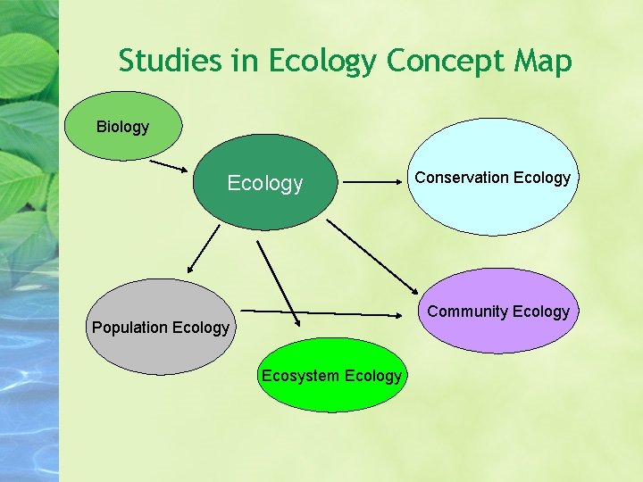Studies in Ecology Concept Map Biology Ecology Conservation Ecology Community Ecology Population Ecology Ecosystem Studies in Ecology Concept Map Biology Ecology Conservation Ecology Community Ecology Population Ecology Ecosystem