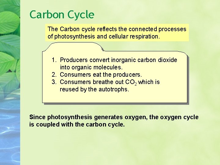 Carbon Cycle The Carbon cycle reflects the connected processes of photosynthesis and cellular respiration. Carbon Cycle The Carbon cycle reflects the connected processes of photosynthesis and cellular respiration.