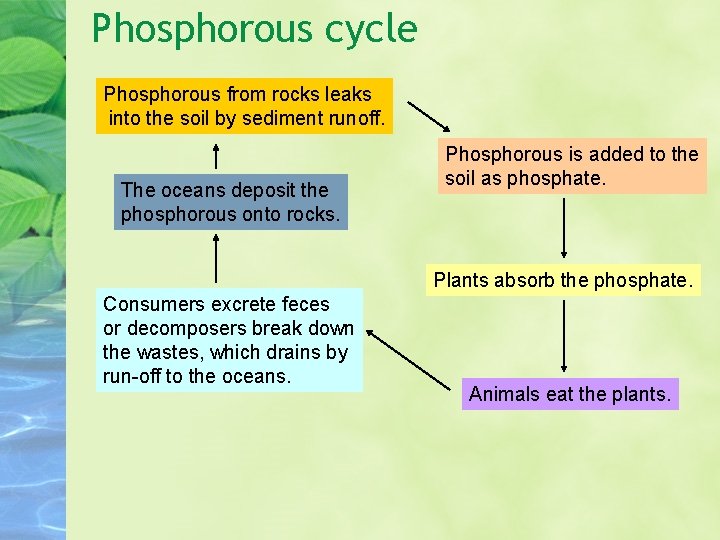 Phosphorous cycle Phosphorous from rocks leaks into the soil by sediment runoff. The oceans Phosphorous cycle Phosphorous from rocks leaks into the soil by sediment runoff. The oceans