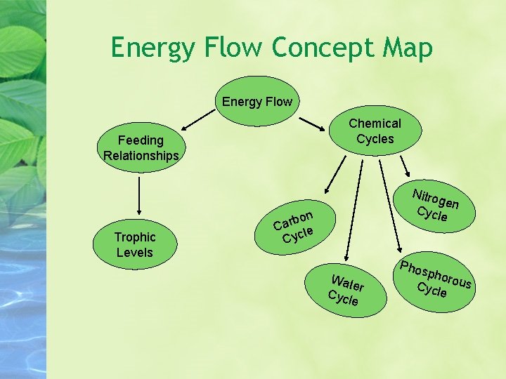Energy Flow Concept Map Energy Flow Chemical Cycles Feeding Relationships Trophic Levels Nitro gen Energy Flow Concept Map Energy Flow Chemical Cycles Feeding Relationships Trophic Levels Nitro gen