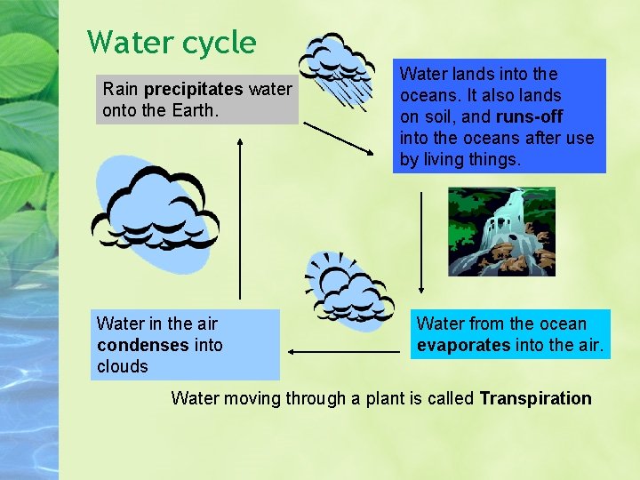 Water cycle Rain precipitates water onto the Earth. Water in the air condenses into Water cycle Rain precipitates water onto the Earth. Water in the air condenses into