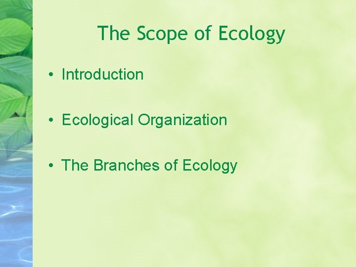 The Scope of Ecology • Introduction • Ecological Organization • The Branches of Ecology The Scope of Ecology • Introduction • Ecological Organization • The Branches of Ecology