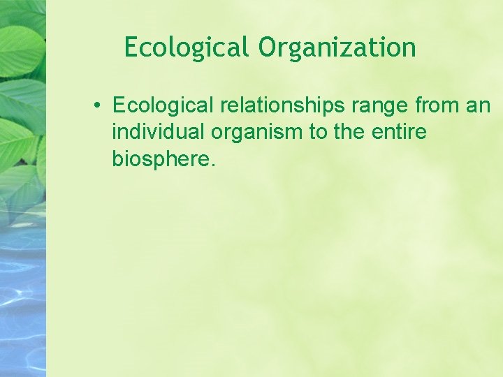 Ecological Organization • Ecological relationships range from an individual organism to the entire biosphere. Ecological Organization • Ecological relationships range from an individual organism to the entire biosphere.