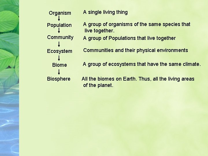 Organism A single living thing Community A group of organisms of the same species Organism A single living thing Community A group of organisms of the same species
