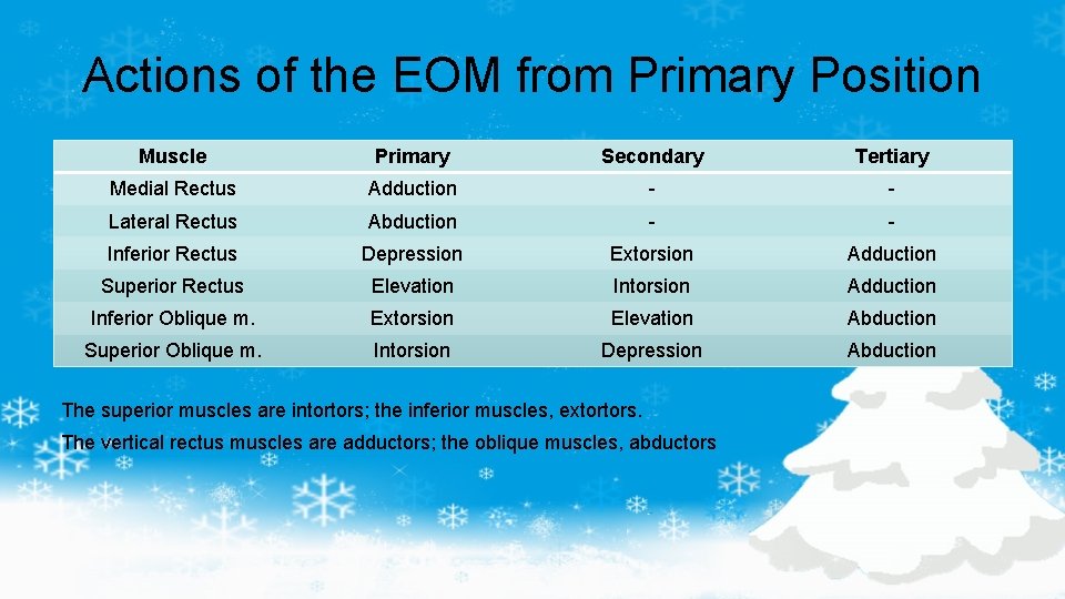 Actions of the EOM from Primary Position Muscle Primary Secondary Tertiary Medial Rectus Adduction