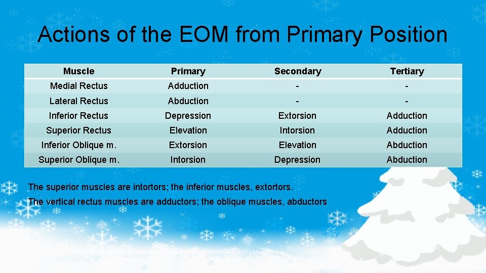 Actions of the EOM from Primary Position Muscle Primary Secondary Tertiary Medial Rectus Adduction
