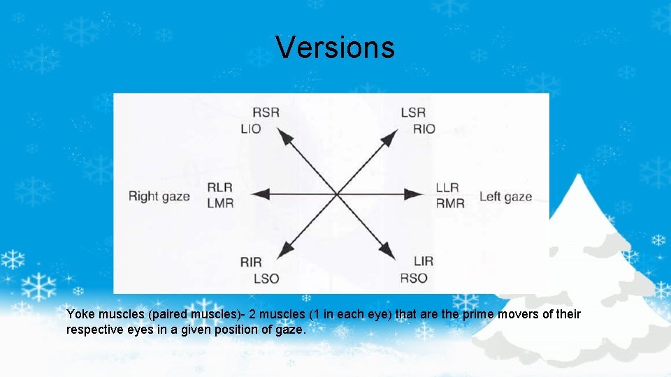 Versions Yoke muscles (paired muscles)- 2 muscles (1 in each eye) that are the