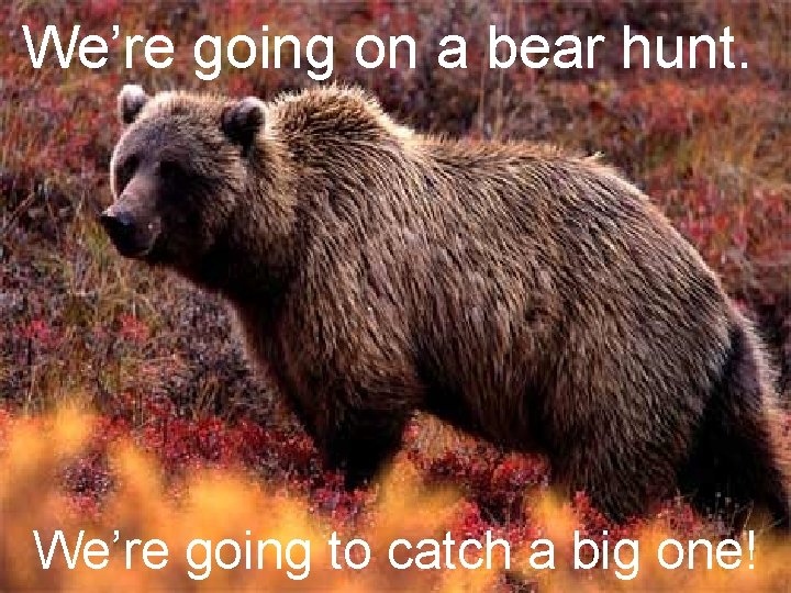 We’re going on a bear hunt. We’re going to catch a big one! 